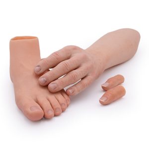 Chân giả phần bàn